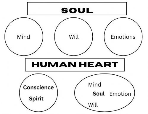 The Human Soul